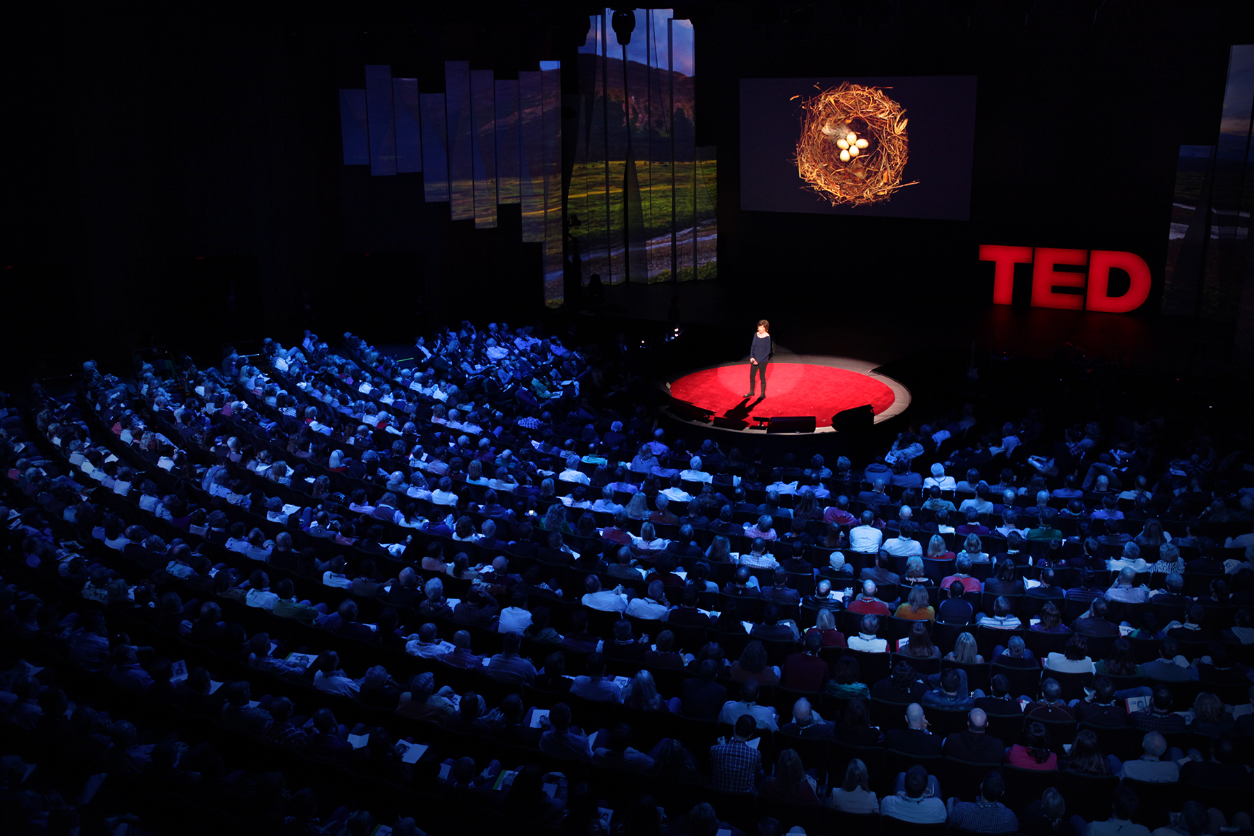 Ted talks фото