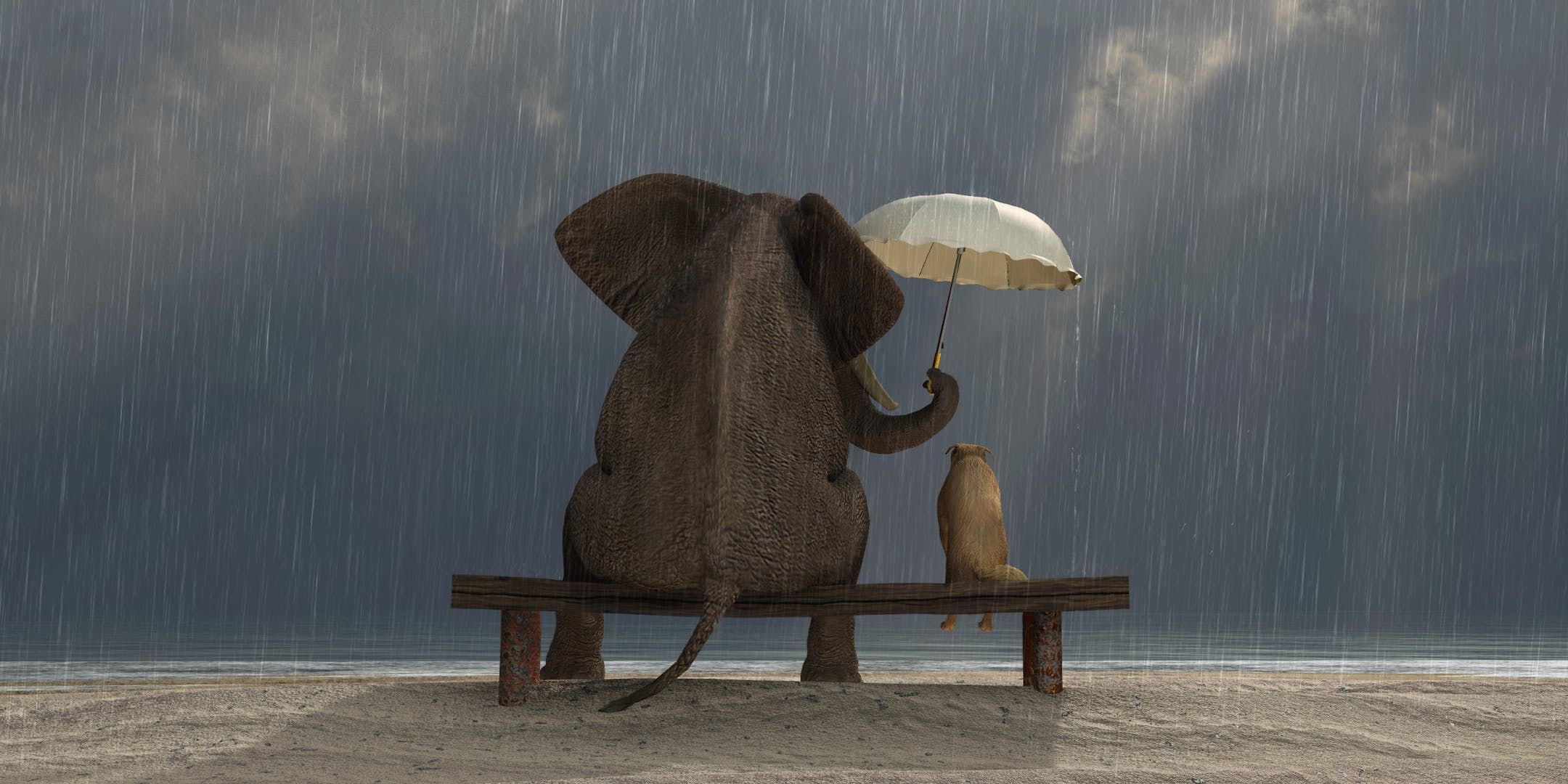 Некрасивый поступок несмотря на сильный дождь. Слон дерево. Слон сидит. Цитаты про поступки. Последнее слово произносит поступок.
